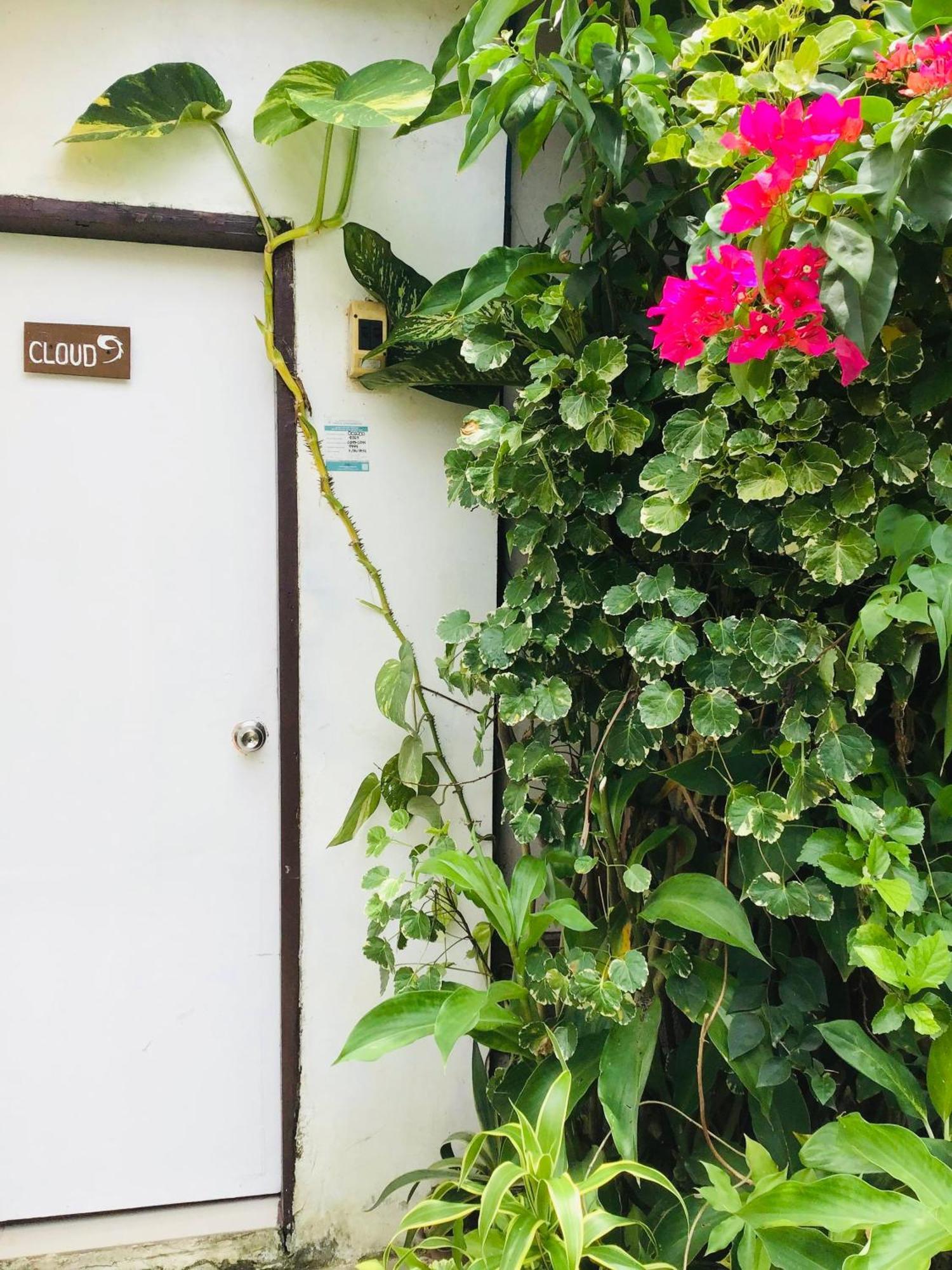 Siargao Zita'S Garden Inn ゼネラル・ルナ エクステリア 写真